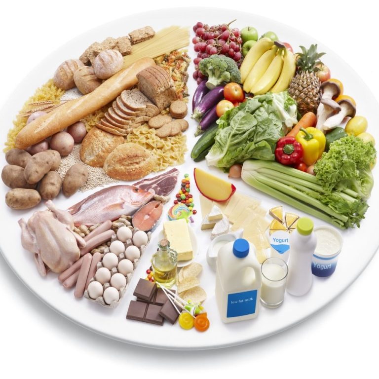 Assiette équilibrée