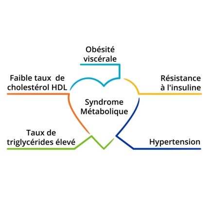 Assiette équilibrée